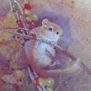 Dormouse_2