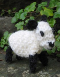 Sheep5_1 Sheep5_1