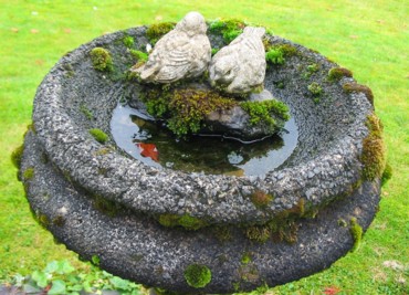 Birdbath_2