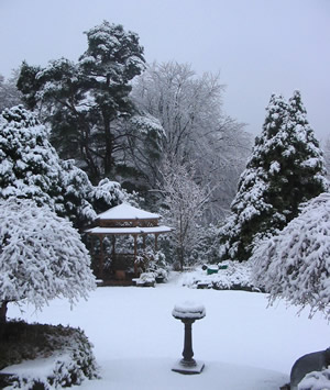 Snowgarden_1