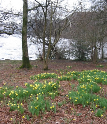 Ullswater2_1 Ullswater2_1