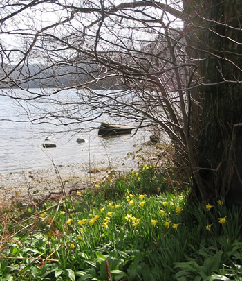 Ullswater1_2 Ullswater1_2