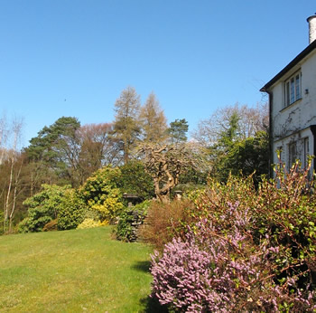 Lawn3_1 Lawn3_1
