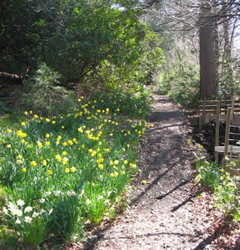 Path1_1 Path1_1