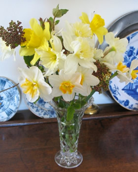 Vasedaffs_1 Vasedaffs_1