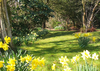 Lawn2_1 Lawn2_1