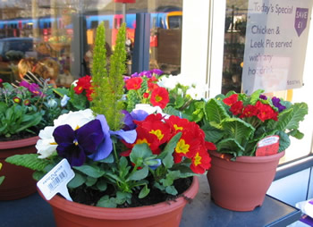 Trainpots_1 Trainpots_1