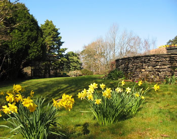Lawn_1 Lawn_1