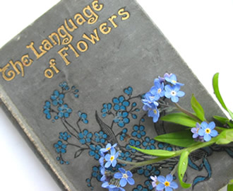 Flowerbook_1