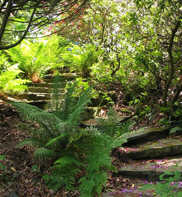 Rhosteps_1 Rhosteps_1